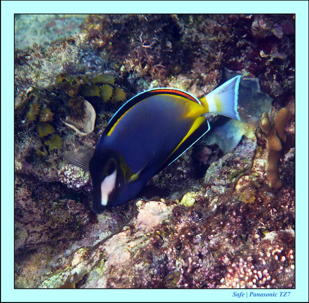 2012 - 07 - Tubod Sanctuary 01